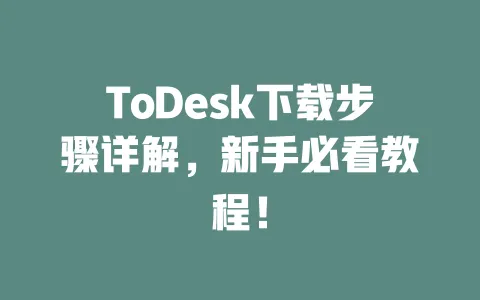 ToDesk下载步骤详解,新手必看教程!-ToDesk下载 - 远程桌面软件